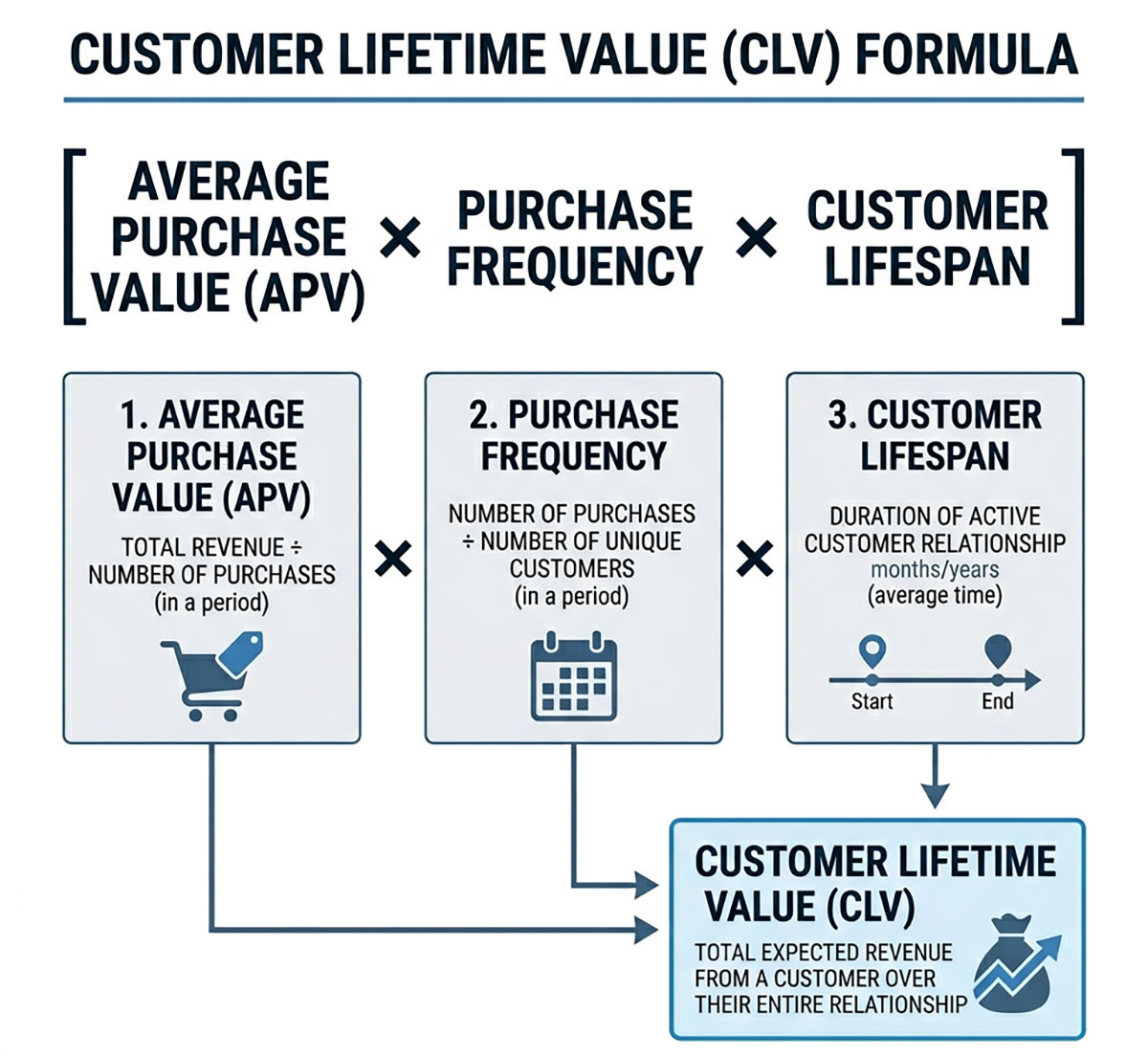 Customer Lifetime Value infographic