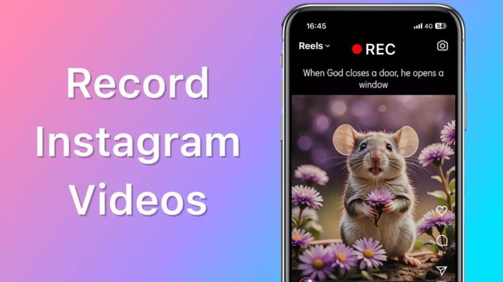 Faceless reels strategy showing Instagram growth without showing face using reels, analytics and content planning